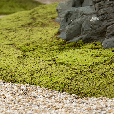 ホテル八ツ　お部屋のベッド